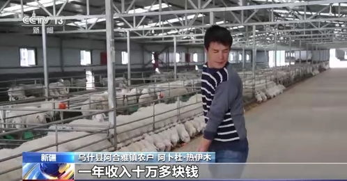 智慧养殖科技赋能 助力新疆畜牧业高质量发展