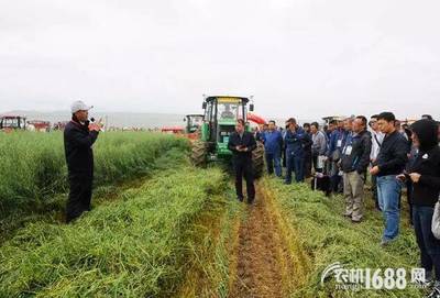 全国牧草（燕麦饲草）生产全程机械化推进活动在青海圆满举行，助力畜牧设备技术升级