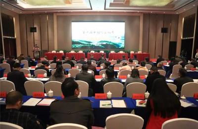 益阳桃江以竹为媒 签约21个合同，引资30.4亿共建绿色产业蓝图