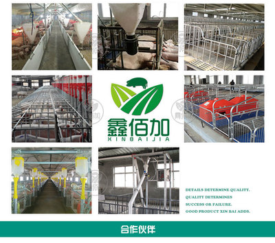 鑫佰加畜牧设备 专业打造犊牛用奶壶，助力高效养殖