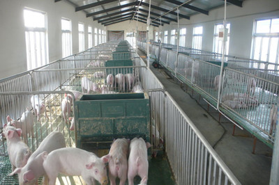 在希望的田野唱响“新农歌” 扬州张家村畜牧设备技术开发的振兴之路